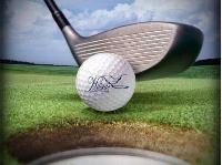 Golf Ball on the Course