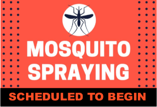Mosquito Spraying